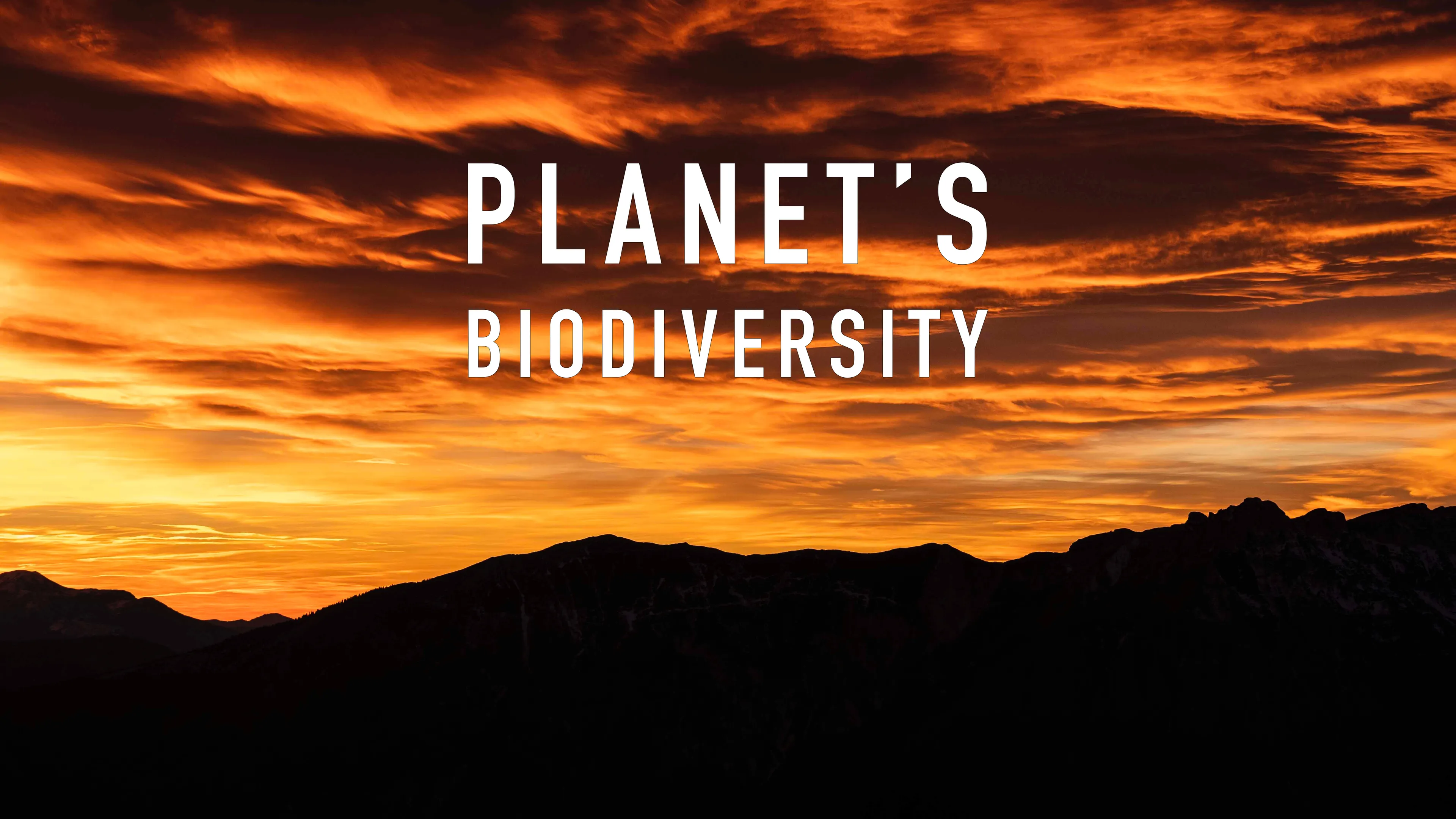 Planet's Biodiversity poster